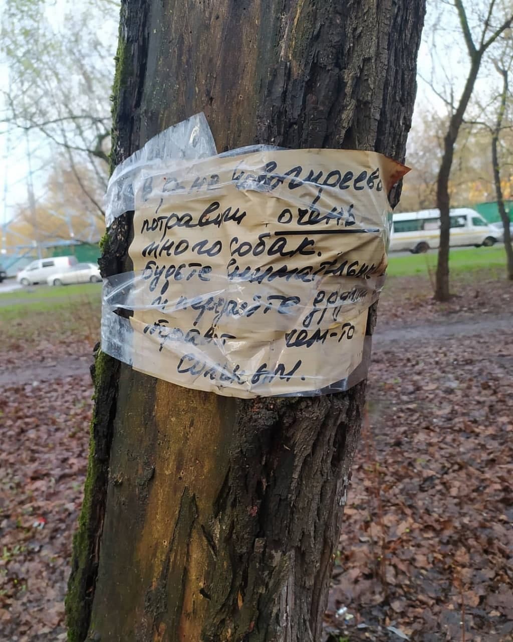 Догхантеры вернулись в Новогиреево