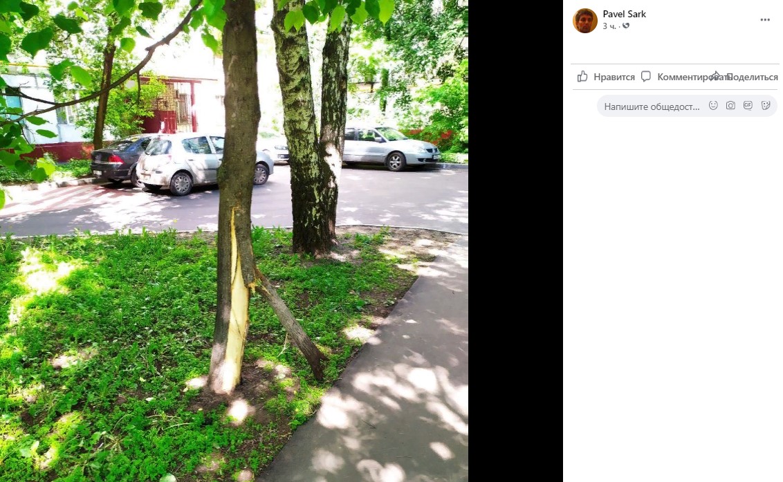 Коммунальщики начали восстанавливать поврежденное дерево во дворе на Утренней
